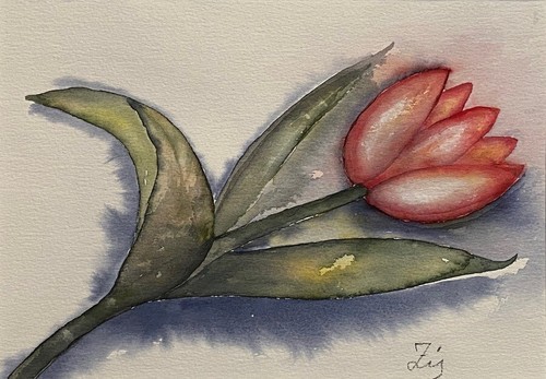 Tulpe original aquarell - tulpe,