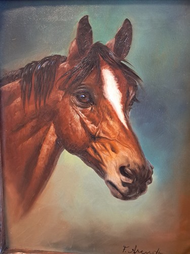 ölgemälde pferde portrait - pferde,