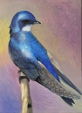 Originale Öl Gemälde